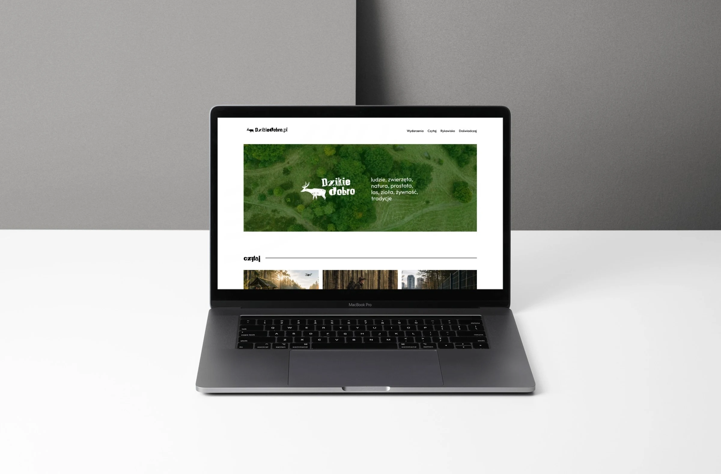 dzikiedobro.pl — projekt strony internetowej, mockup macbook scena biurko