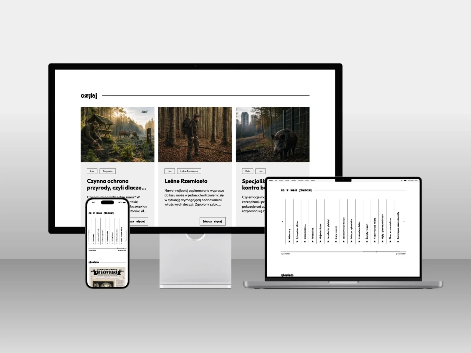 dzikiedobro.pl — projekt strony internetowej, mockup zestaw imac macbook iphone