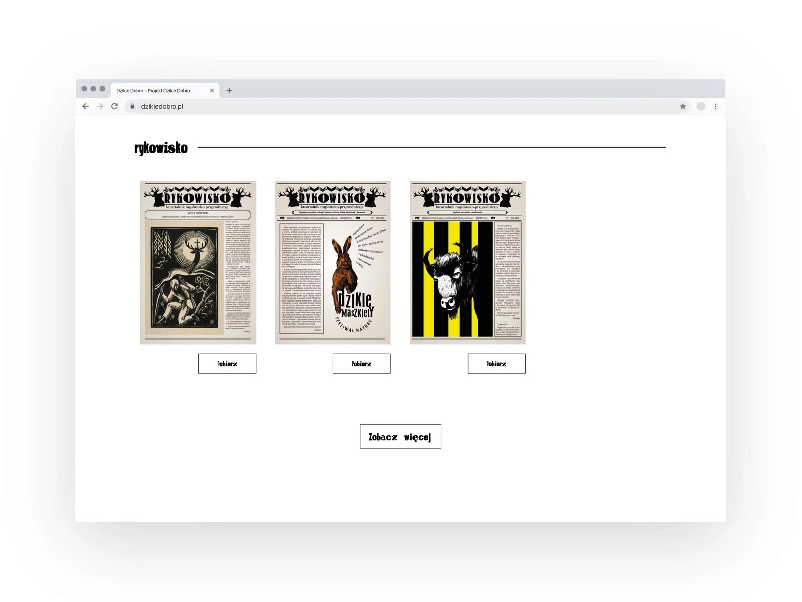 dzikiedobro.pl — projekt strony internetowej, mockup przegladarka