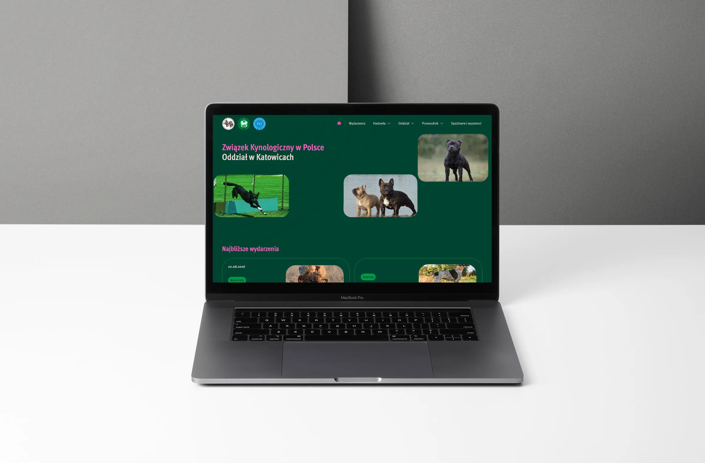 Strona główna serwisu na laptopie